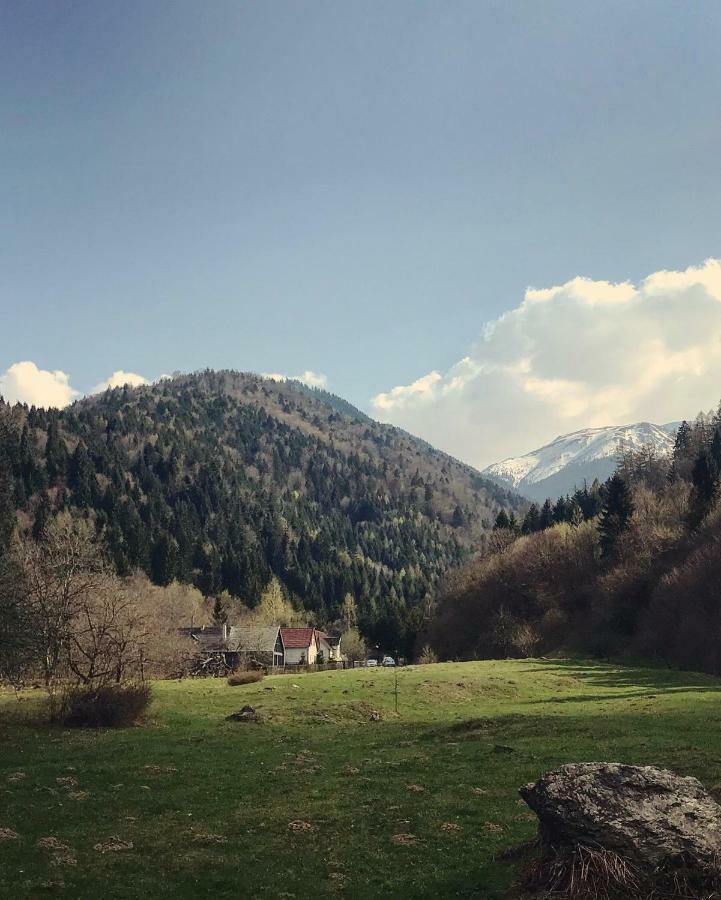 Cabana Sapte Breáza Kültér fotó